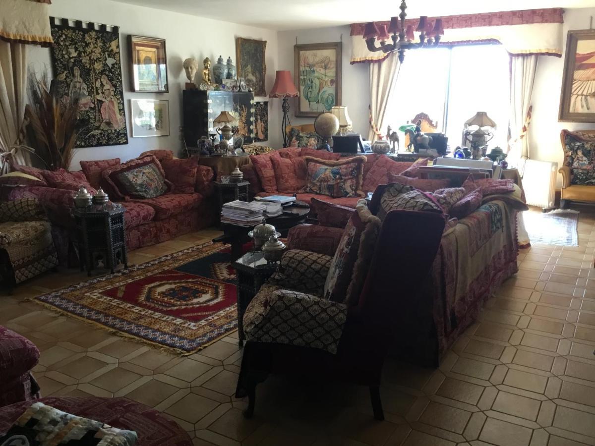 Villa La Cerisaie Céret Eksteriør billede